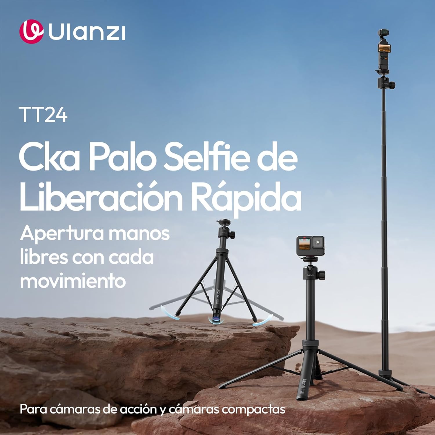 tt24 es2