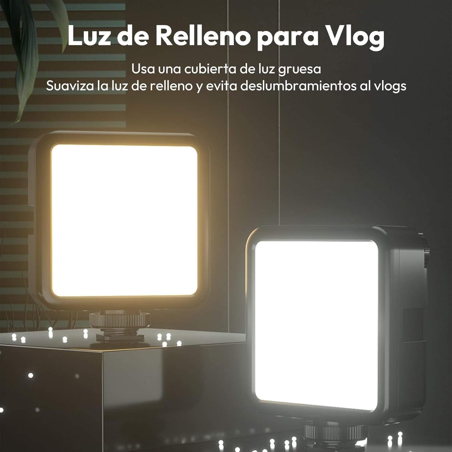 vl81 2